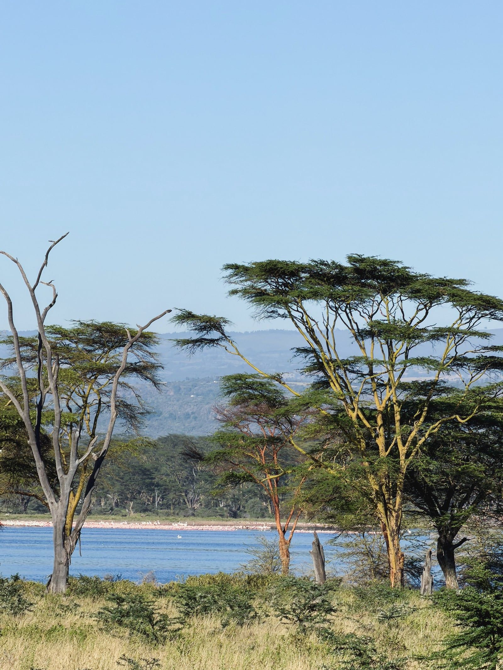 Lake Nakuru Ansicht
