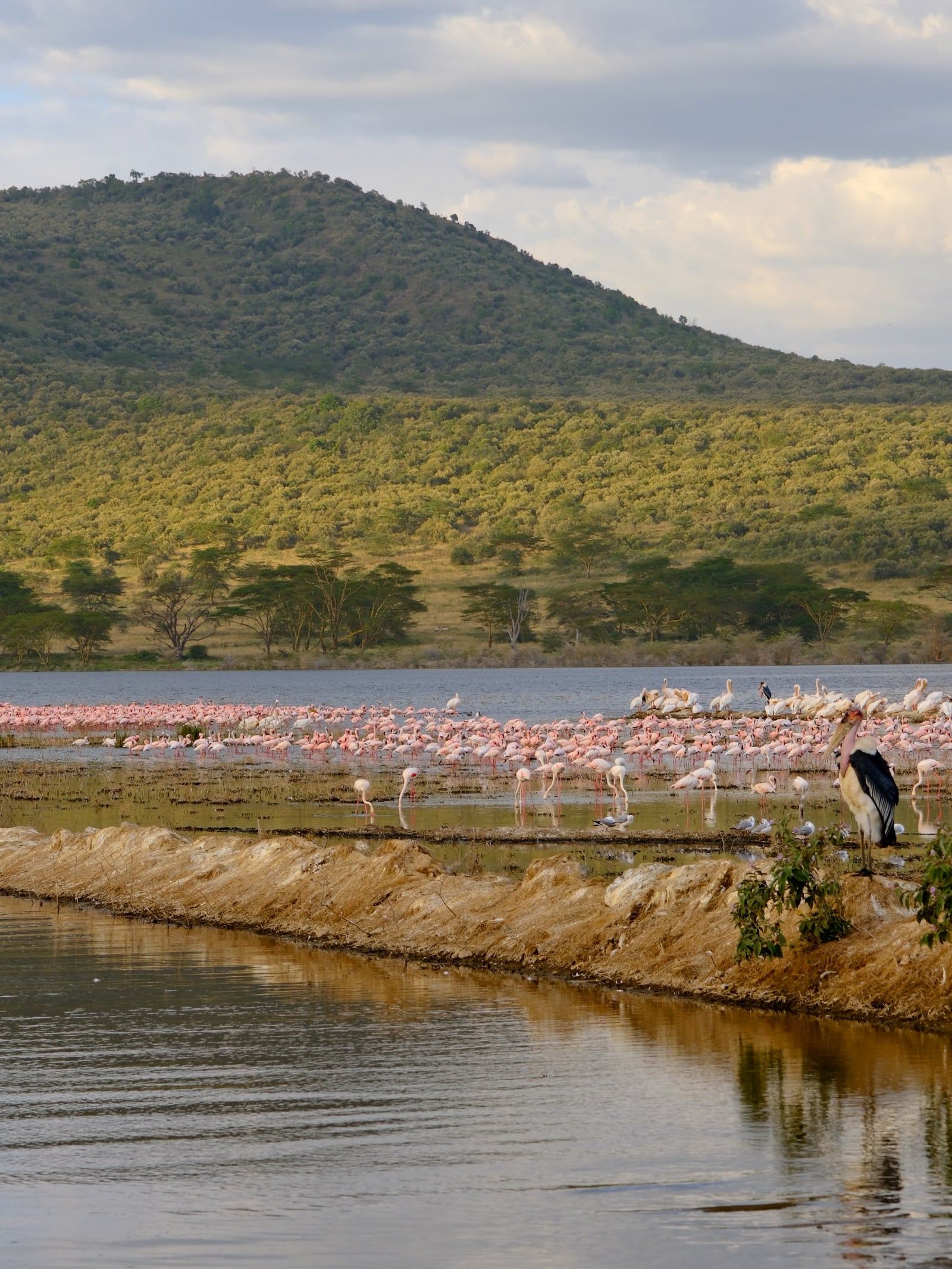 Lake Nakuru Ansicht